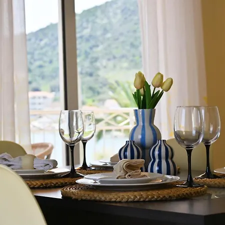 Natasa Винишче